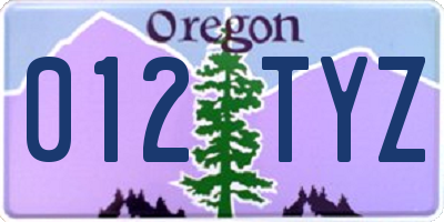 OR license plate 012TYZ