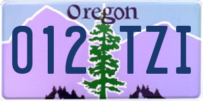 OR license plate 012TZI
