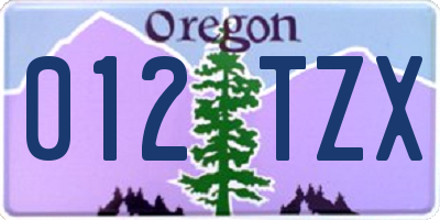 OR license plate 012TZX
