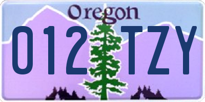 OR license plate 012TZY