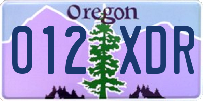 OR license plate 012XDR
