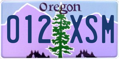 OR license plate 012XSM