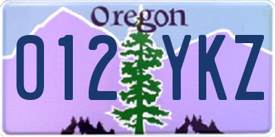 OR license plate 012YKZ