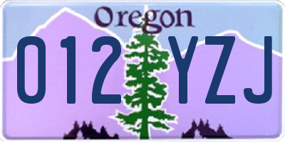 OR license plate 012YZJ