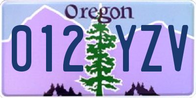 OR license plate 012YZV