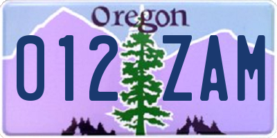 OR license plate 012ZAM