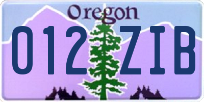 OR license plate 012ZIB