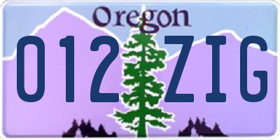 OR license plate 012ZIG