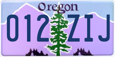 OR license plate 012ZIJ