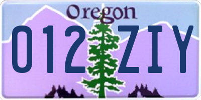 OR license plate 012ZIY