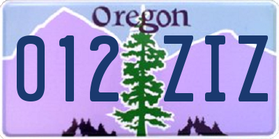 OR license plate 012ZIZ