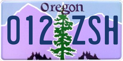 OR license plate 012ZSH