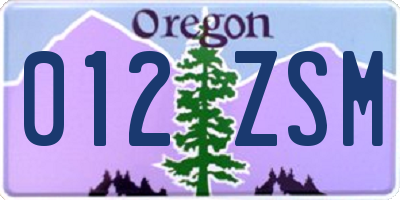 OR license plate 012ZSM
