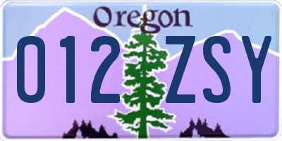 OR license plate 012ZSY