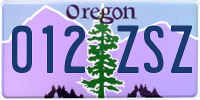 OR license plate 012ZSZ