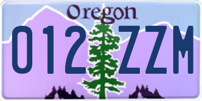 OR license plate 012ZZM