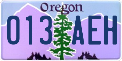 OR license plate 013AEH