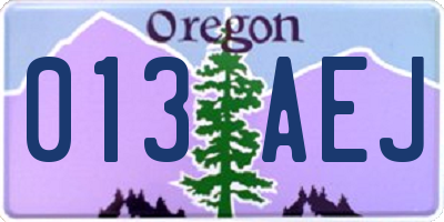 OR license plate 013AEJ