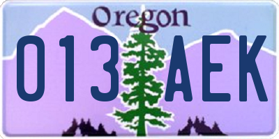 OR license plate 013AEK