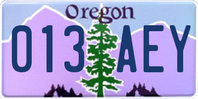 OR license plate 013AEY
