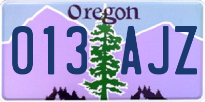 OR license plate 013AJZ