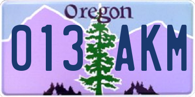 OR license plate 013AKM