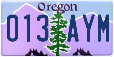 OR license plate 013AYM