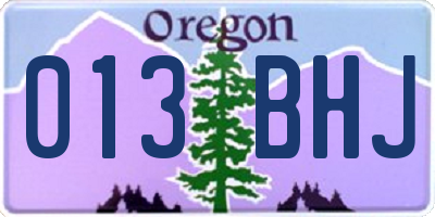 OR license plate 013BHJ