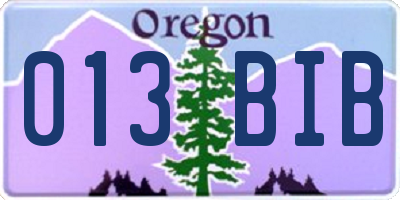 OR license plate 013BIB