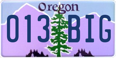 OR license plate 013BIG