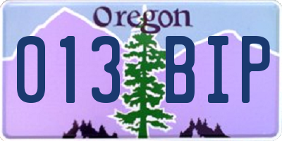 OR license plate 013BIP