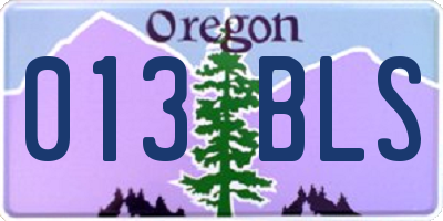 OR license plate 013BLS