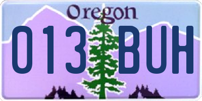 OR license plate 013BUH