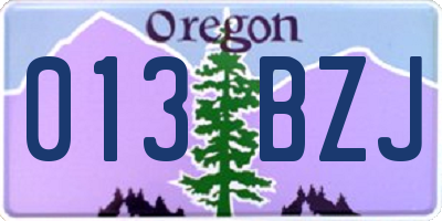 OR license plate 013BZJ