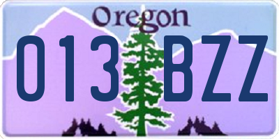 OR license plate 013BZZ