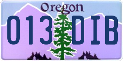 OR license plate 013DIB