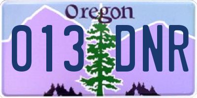 OR license plate 013DNR