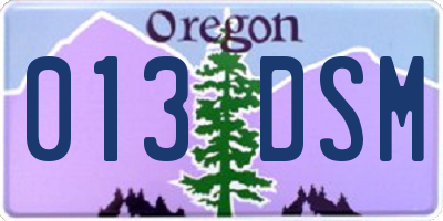 OR license plate 013DSM