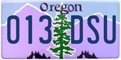 OR license plate 013DSU