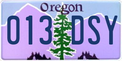 OR license plate 013DSY