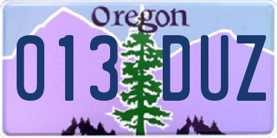 OR license plate 013DUZ