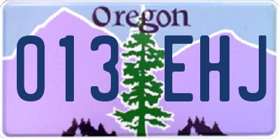 OR license plate 013EHJ