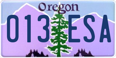 OR license plate 013ESA