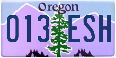 OR license plate 013ESH