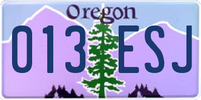 OR license plate 013ESJ