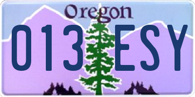 OR license plate 013ESY