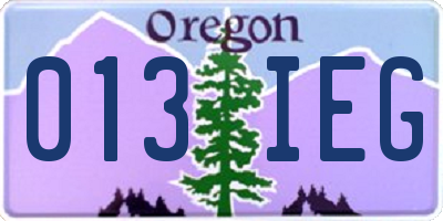 OR license plate 013IEG