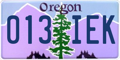 OR license plate 013IEK