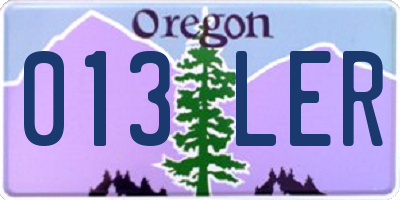 OR license plate 013LER