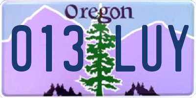 OR license plate 013LUY